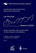 Vassily Beskin, Jean Dalibard, Gille Henri, Gilles Henri, Francois Menard, Francois Menard et al... - Accretion Disks, Jets and High-Energy Phenomena in Astrophysics