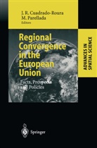 Juan R. Cuadrado-Roura, Parellada, PARELLADA, Marti Parellada, Martí Parellada, Jua R Cuadrado-Roura... - Regional Convergence in the European Union