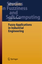 Cengi Kahraman, Cengiz Kahraman - Fuzzy Applications in Industrial Engineering