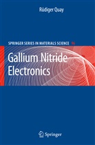 Rüdiger Quay - Gallium Nitride Electronics