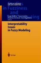 Jorge Casillas, Cordón, O Cordón, O. Cordón, Oscar Cordón, Francisco Herrera... - Interpretability Issues in Fuzzy Modeling