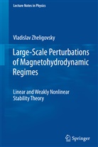 Vladislav Zheligovsky - Large-Scale Perturbations of Magnetohydrodynamic Regimes