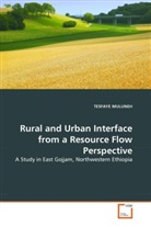 Tesfaye Muluneh - Rural and Urban Interface from a Resource Flow Perspective