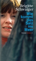 Brigitte Schwaiger - Wie kommt das Salz ins Meer