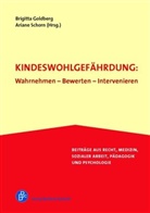 Ingrid Gissel-Palkovich, Bernd Herrmann, Nahrw, Goldber, Brigitt Goldberg, Brigitta Goldberg... - Kindeswohlgefährdung: Wahrnehmen - Bewerten - Intervenieren