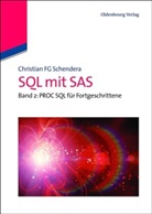 Christian F. G. Schendera, Christian Fg Schendera - SQL mit SAS - 2: PROC SQL für Fortgeschrittene