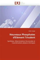 Julien Lesage, Lesage-j - Nouveaux phosphates d element