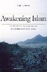 Stephane Lacroix, Stéphane Lacroix, Stephane Lecroix - Awakening Islam