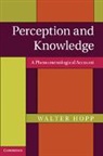 Walter Hopp, Walter (Boston University) Hopp, Hopp Walter - Perception and Knowledge