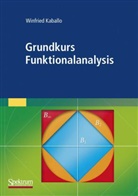 Winfried Kaballo - Grundkurs Funktionalanalysis