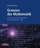 Dirk W. Hoffmann - Grenzen der Mathematik