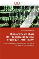 Nor-Eddine Akaaboune, Akaaboune-N - Diagramme de phase h,t du