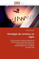 Ilham Belyagou, Belyagou-I - Strategie de contenu en ligne