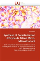 Hari Sutrisno, Sutrisno-H - Synthese et caracterisation d