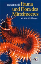 Rupert Riedl, Smok Riedl, Smoky Riedl, Schweder, Schweder, Barbara Schweder-Riedl - Fauna und Flora des Mittelmeeres