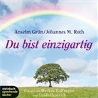 Grün Anselm, Johannes M Roth, Johannes M. Roth, Guido Heidrich, Markus Hoffmann, Francois Smesny... - Du bist einzigartig, 2 Audio-CDs (Hörbuch)