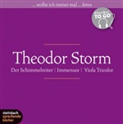 Theodor Storm, Wolfgang Büttner, Heinz Kilian, Fred C. Siebeck, Wolfgang BÃ¼ttner, Wolfgang Büttner... - Theodor Storm, Klassiker to go, 6 Audio-CDs (Hörbuch)