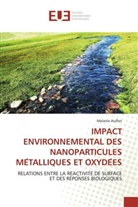 Melanie Auffan, Auffan-M - Impact environnemental des