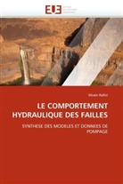 Silvain Rafini, Rafini-S - Le comportement hydraulique des