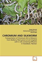 Saee Ahmad, Saeed Ahmad, Muhammad Ashfaq, Muhamma Ashfaq (T I), Muhammad Ashfaq (T. I), Muhammad Ashfaq (T.I)... - CHROMIUM AND SILKWORM