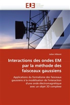 Julien Hillairet, Hillairet-J - Interactions des ondes em par la