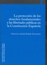 Francisco Javier Enériz Olaechea - La protección de los derechos fundamentales y las libertades públicas en la Constitución Española