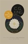 C. G. Jung, C. G./ Hull Jung - The Undiscovered Self