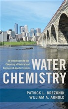 William Arnold, William (Associate Professor of Civil Engineering Arnold, William A. Arnold, Arnold William, Patrick Brezonik, Patrick (Professor Emeritus of Civil Engineering Brezonik... - Water Chemistry