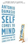 Antonio Damasio - Self Comes to Mind