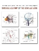 Parviz Janfaza, Parviz Nadol Janfaza, Richard L. Fabian, Fabian Richard L., Robert Galla, Robert J. Galla... - Surgical Anatomy of the Head and Neck