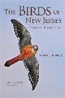 William Boyle, William J Boyle, William J. Boyle, Boyle William J., Kevin Karlson, Kevin T Karlson... - Birds of New Jersey
