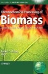 Brown, Robert C. Brown, Robert C. (EDT) Brown, BROWN ROBERT C, Robert C. Brown, Christian Stevens - Thermochemical Processing of Biomass