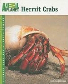 Carol Frischmann - Hermit Crabs