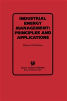 Giovanni Petrecca, Giovanni Petrecca - Industrial Energy Management: Principles and Applications