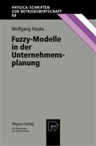 Wolfgang Hauke - Fuzzy-Modelle in der Unternehmensplanung