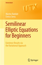 Marin Badiale, Marino Badiale, Mario Badiale, Enrico Serra - Semilinear Elliptic Equations for Beginners