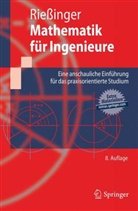 Thomas Riessinger - Mathematik für Ingenieure