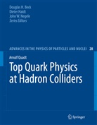 Arnulf Quadt - Top Quark Physics at Hadron Colliders