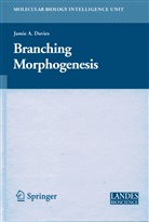 Jamie Davies, Jami Davies, Jamie Davies - Branching Morphogenesis