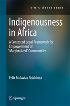 Felix Mukwiza Ndahinda - Indigenousness in Africa