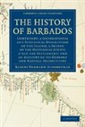 Robert Hermann Schomburgk, Sir Robert Hermann Schomburgk - History of Barbados