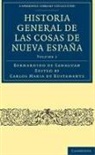 Bernardino De Sahag N., Bernardino de Sahag¿n, Bernardino De Sahag-N, Bernardino De Sahaguan, Bernardino De Sahagun, Bernardino de Sahagûn... - Historia General De Las Cosas De Nueva Espana