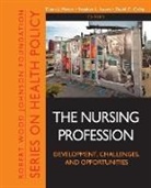 David C. Colby, Stephen L. Isaacs, Stephen L. (Center for Health and Social P Isaacs, D Mason, Diana J. Mason, Diana J. Isaacs Mason... - Nursing Profession