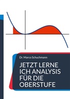 Marco Schuchmann - Jetzt lerne ich Analysis für die Oberstufe