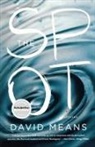 David Means - The Spot