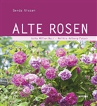 Kolberg, Nisse, Gerda Nissen, Melitta Kolberg, Melitta (Fotogr.) Kolberg, Jutt Müller... - Alte Rosen