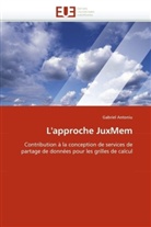 Gabriel Antoniu, Antoniu-G - L approche juxmem