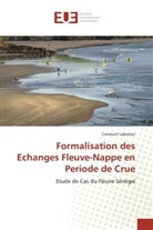 CONSTANT LABINTAN, Labintan-C - Formalisation des echanges fleuve