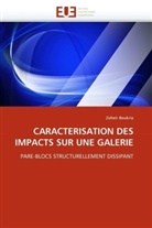 Zoheir Boukria, Boukria-Z - Caracterisation des impacts sur