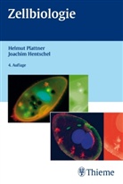 Hentschel, Joachi Hentschel, Joachim Hentschel, Plattne, Helmu Plattner, Helmut Plattner - Zellbiologie